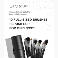 10 Brushes for $99 ($239 Value) + a Free Brush Cup