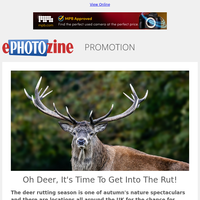 Oh Deer, It's Time To Get Into The Rut! Get Ready With Gear From MPB