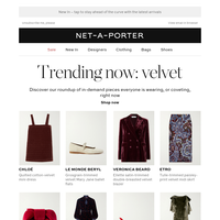 Trending now: velvet