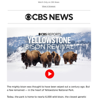 STREAM YELLOWSTONE BISON REVIVAL